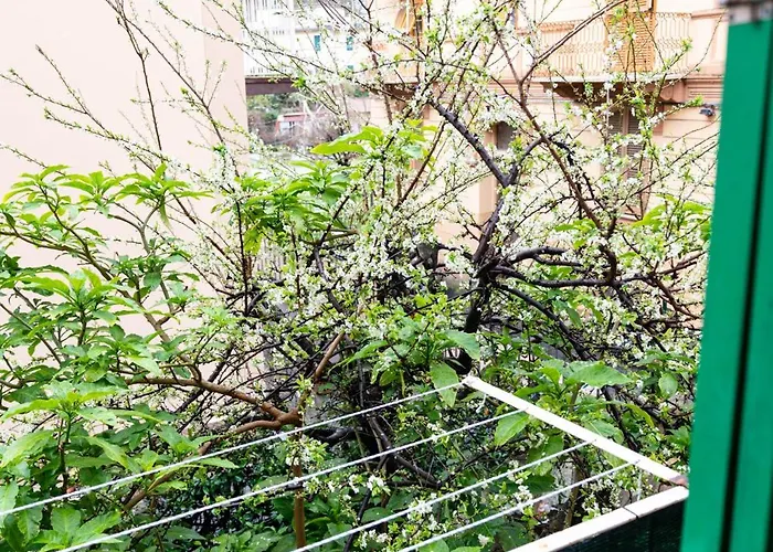 Margherita - Citra 011015-lt-1929 Apartment La Spezia